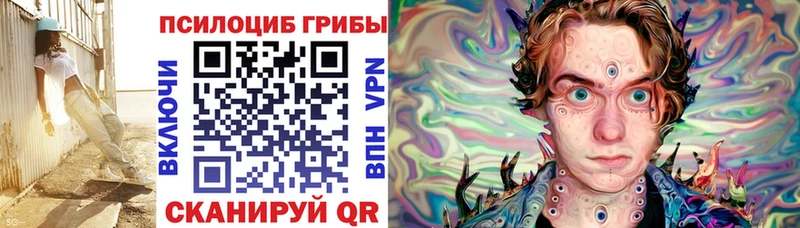 hydra как зайти  купить закладку  Сольвычегодск  Галлюциногенные грибы мицелий 